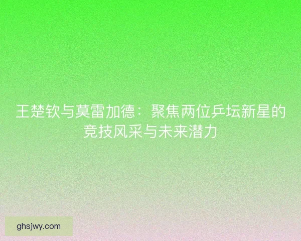 王楚钦与莫雷加德：聚焦两位乒坛新星的竞技风采与未来潜力